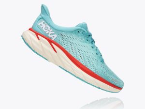 Hoka007-2.jpg