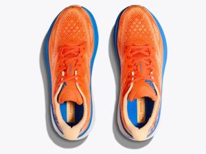 Hoka023-2.jpg