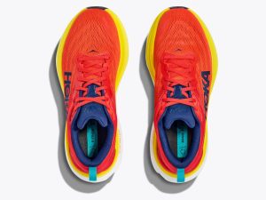 Hoka081505-2.jpg