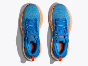 Hoka081506-2.jpg