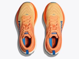 Hoka081507-2.jpg