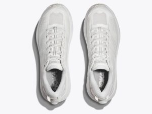 Hoka081510-2.jpg