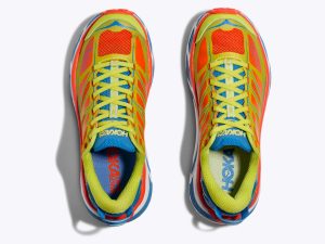 Hoka081511-2.jpg