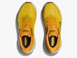 Hoka081513-2.jpg