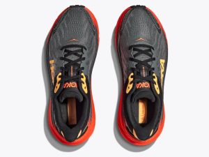 Hoka081514-2.jpg
