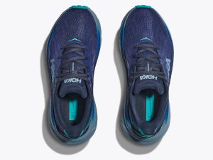 Hoka081517-2.jpg