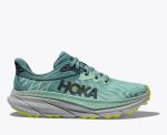 W/M Hoka One One Challenger 7 Mist Green / Trellis