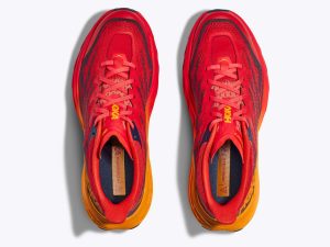 Hoka081532-2.jpg