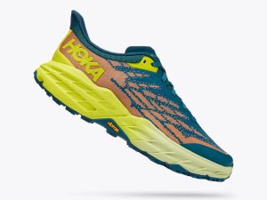 Hoka081533-2.jpg