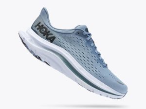 hoka11102-2.jpg