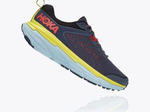 hoka1107034-2.jpg