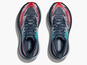 Hoka182-2.jpg