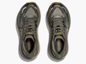 Hoka183-2.jpg