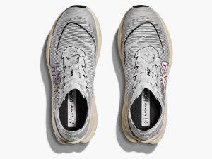 Hoka202-2.jpg