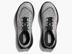 Hoka203-2.jpg