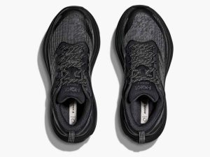 Hoka206-2.jpg