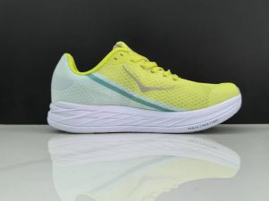 Hoka208-2.jpg