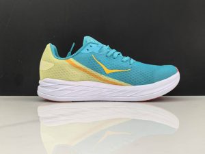 Hoka209-2.jpg