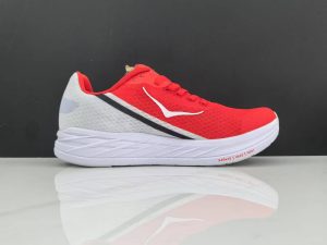 Hoka210-2.jpg