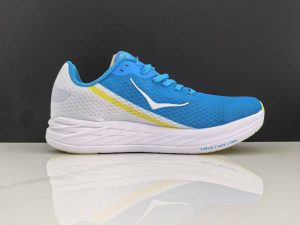 Hoka212-2.jpg