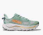 Hoka One One Running Shoes Challenger8 Wide Jade Cosmic Grey